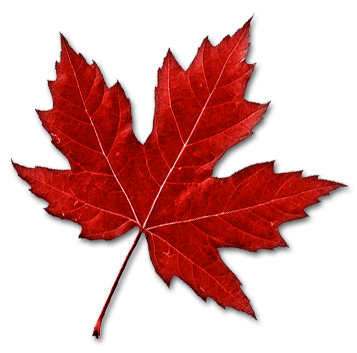 mapleleaf